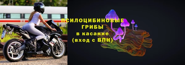 стафф Магас