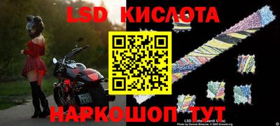 СК Заводоуковск