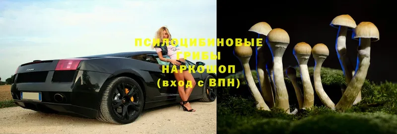 Псилоцибиновые грибы Magic Shrooms  где найти   Североморск 