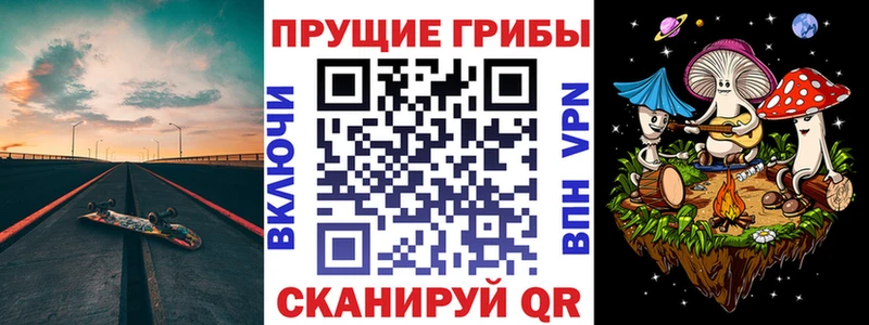 Галлюциногенные грибы Cubensis закладки Североморск