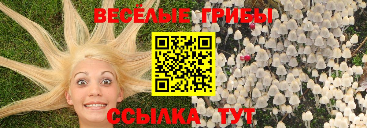 Кокаин  Каннабис  Меф МЯУ МЯУ   А ПВП СК кристаллы  ТГК  Североморск  Гашиш 