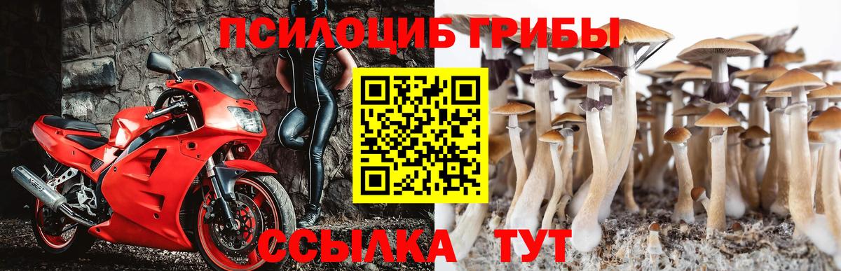 Галлюциногенные грибы ЛСД  Галлюциногенные грибы ЛСД  Североморск 