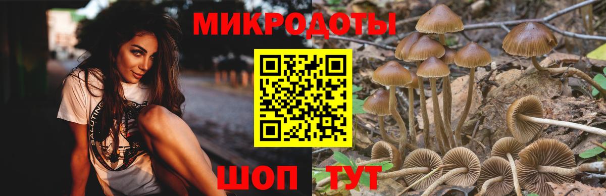 Псилоцибиновые грибы MAGIC MUSHROOMS  Вход с VPN  Североморск 