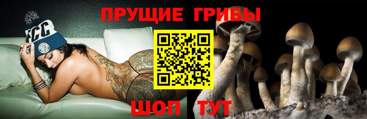 Галлюциногенные грибы Cubensis Североморск